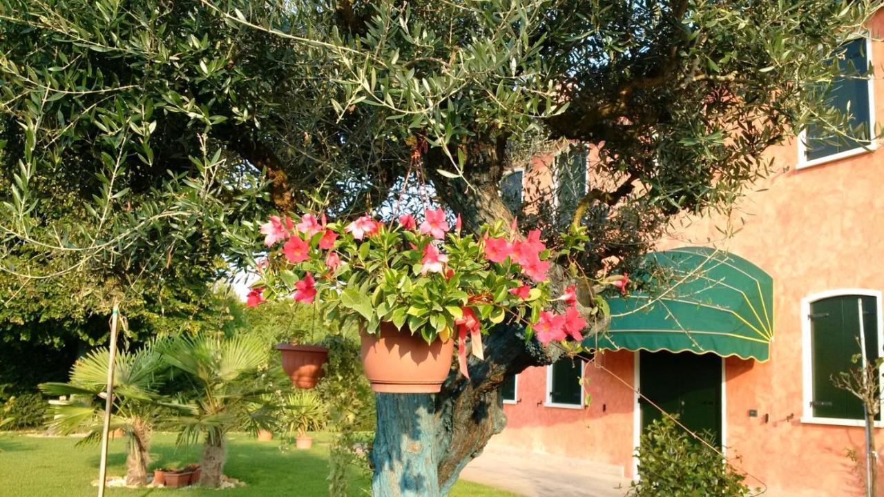 Il Farfasole Bed & Breakfast Vigonovo  ภายนอก รูปภาพ